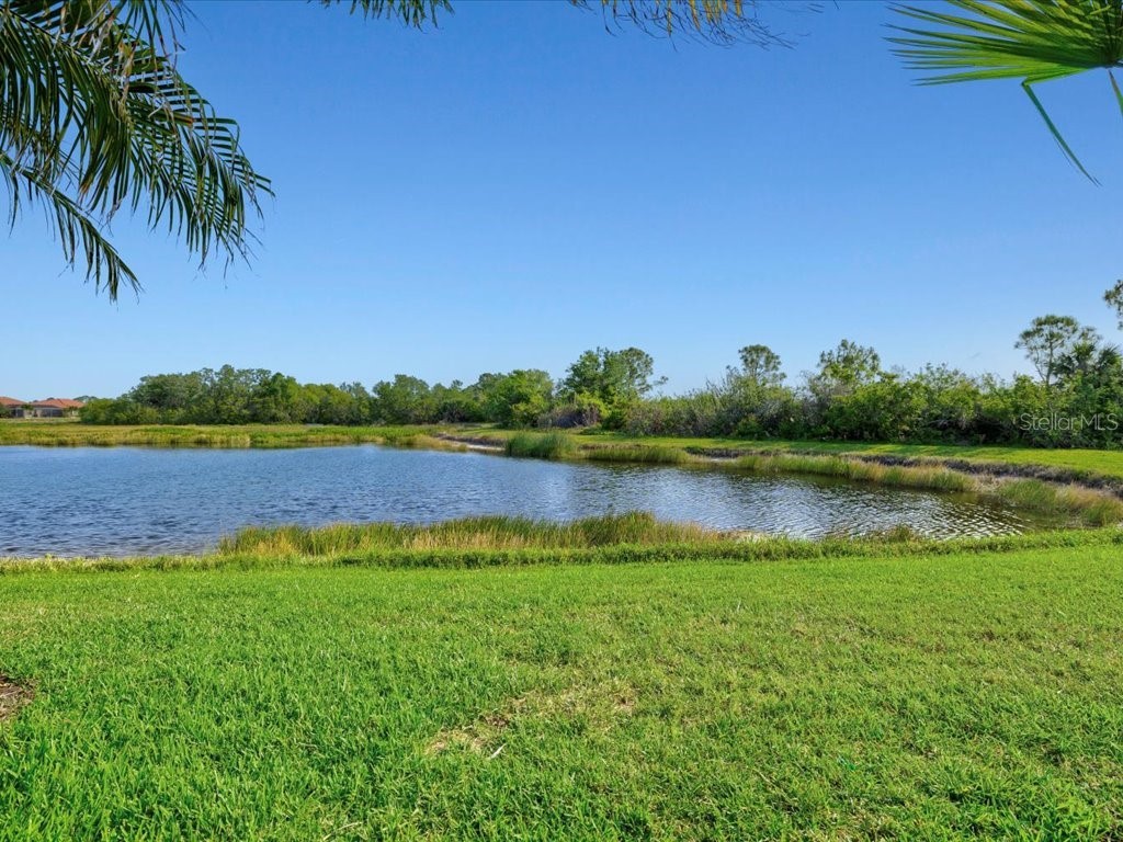 13644 Brilliante Drive Venice FL 34293 A4679646 image47