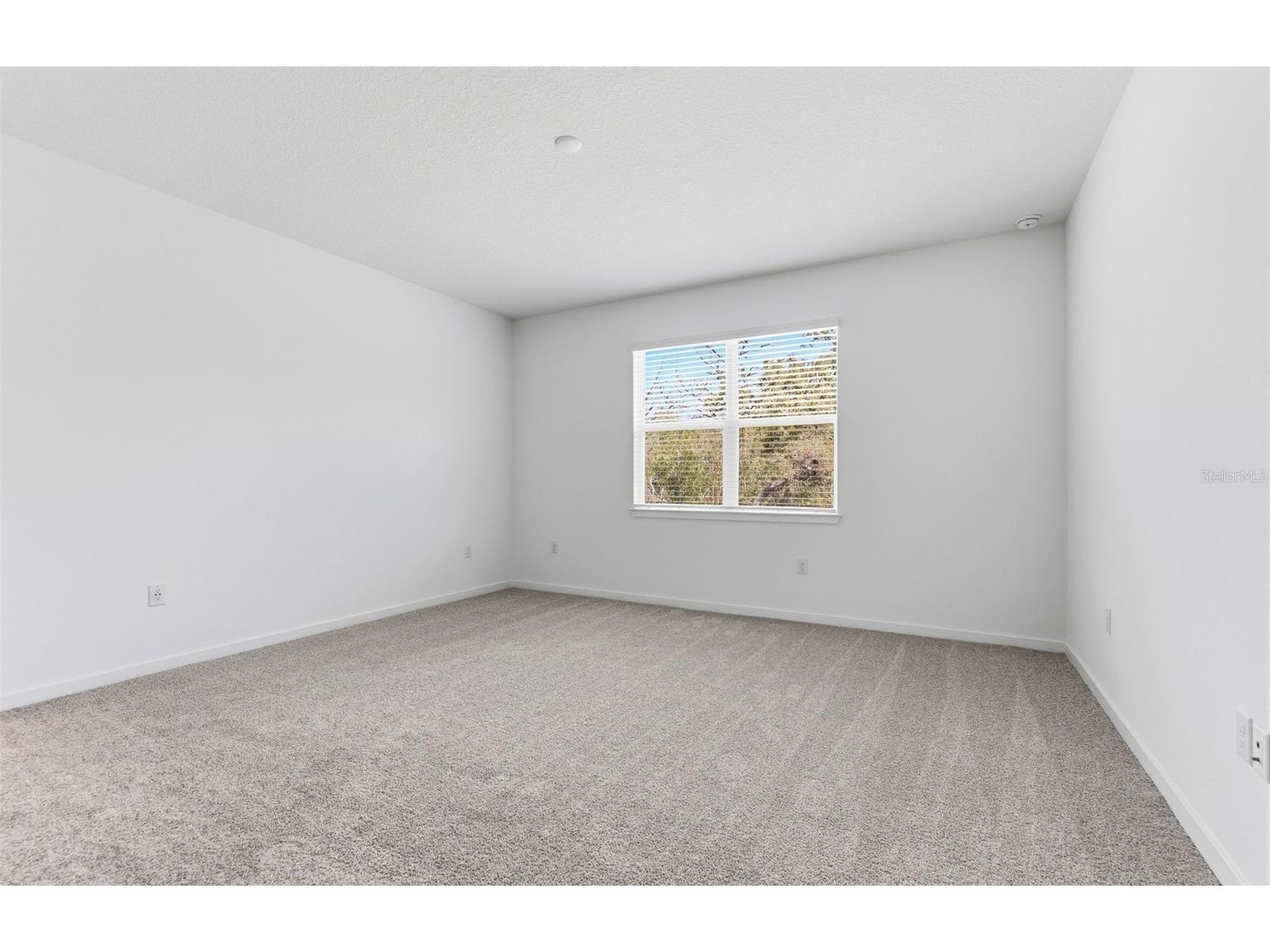 13644 Canyon Ridge Road Spring Hill FL 34610 TB8401321 image8