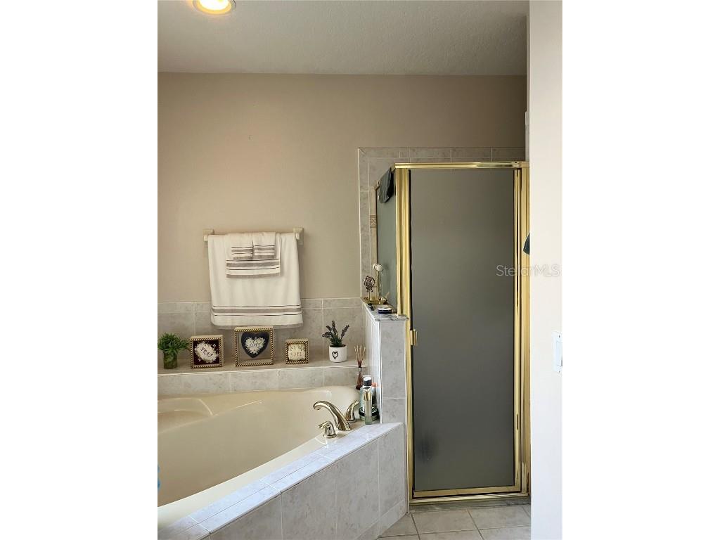 13644 Tetherline Trail Orlando FL 32837 S5139417 image42