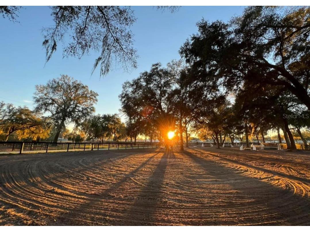 13646 N Us Highway 27 Ocala FL 34482 OM702023 image19