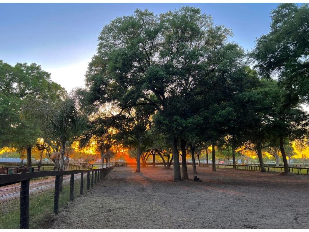 13646 N Us Highway 27 Ocala FL 34482 OM702023 image20