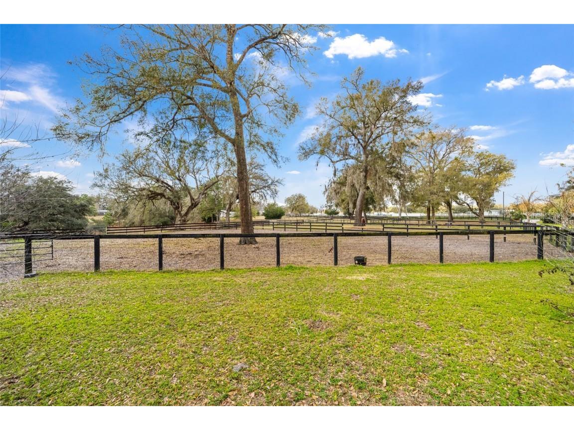 13646 N Us Highway 27 Ocala FL 34482 OM702023 image65