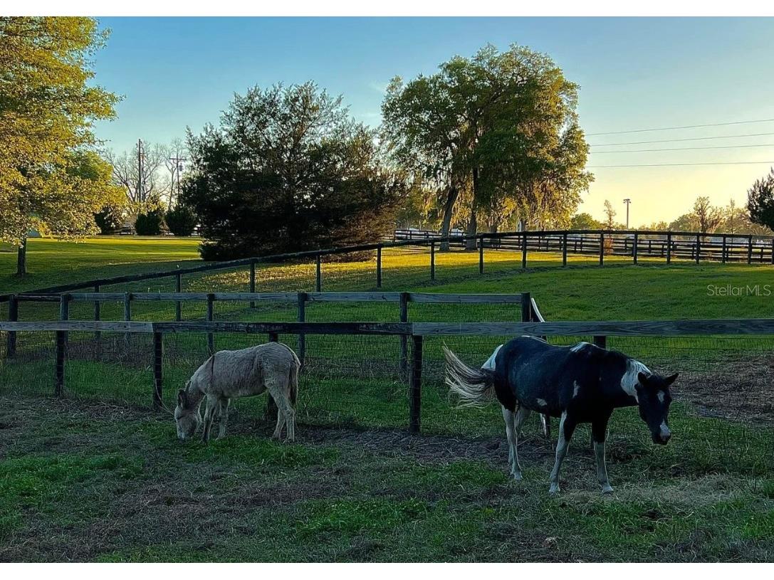 13646 N Us Highway 27 Ocala FL 34482 OM702023 image69