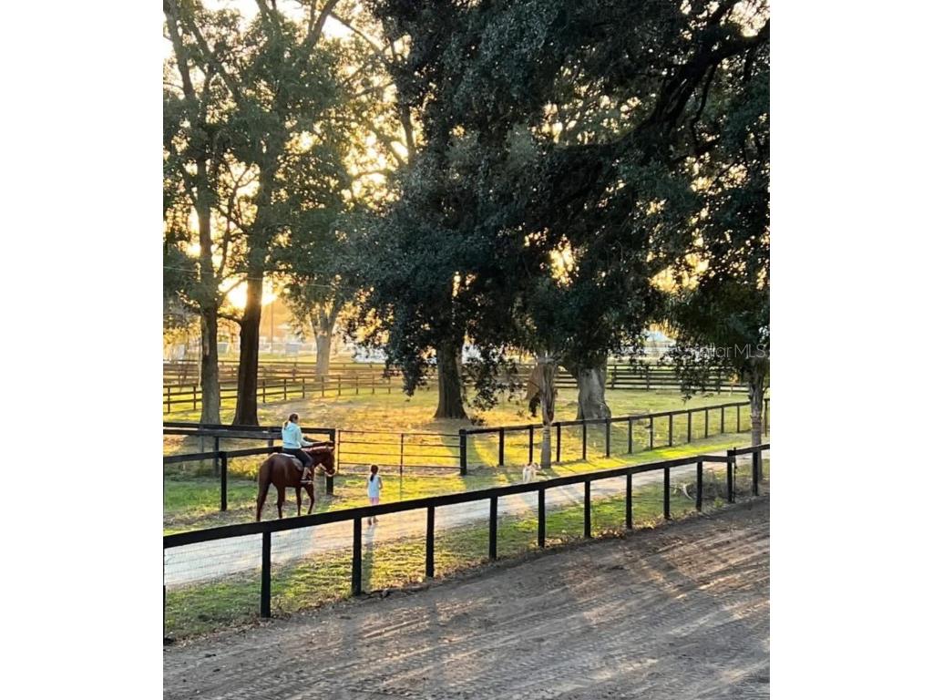 13646 N Us Highway 27 Ocala FL 34482 OM702023 image70