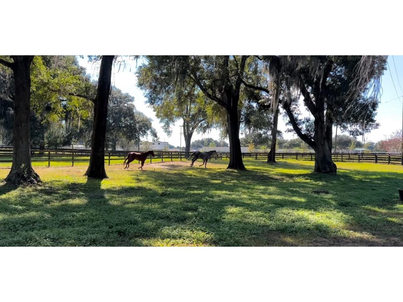 13646 N Us Highway 27 Ocala FL 34482 OM702023 image71