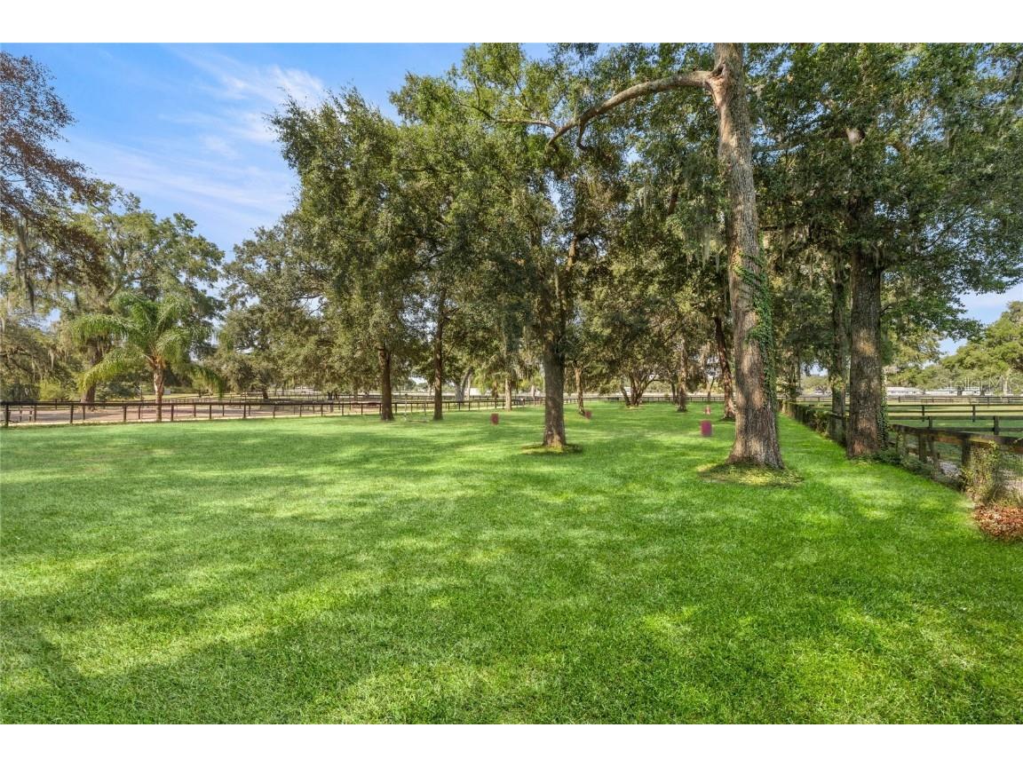 13646 N Us Highway 27 Ocala FL 34482 OM702023 image72