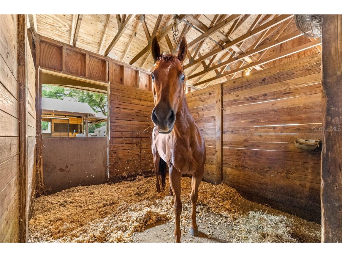 13646 N Us Highway 27 Ocala FL 34482 OM702023 image79