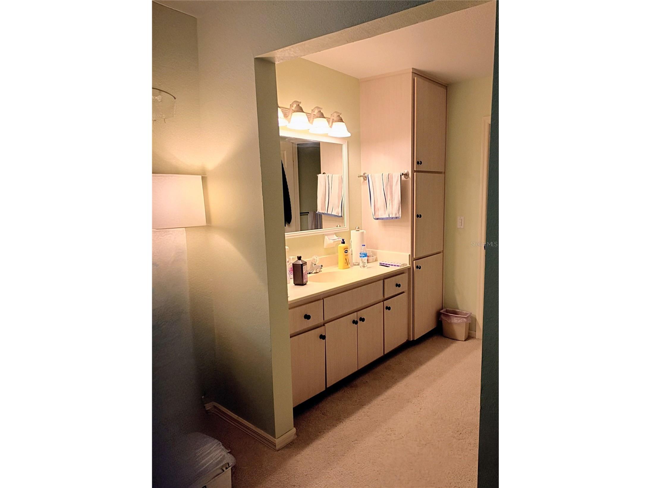 13646 SW 115th Avenue Dunnellon FL 34432 OM720238 image20