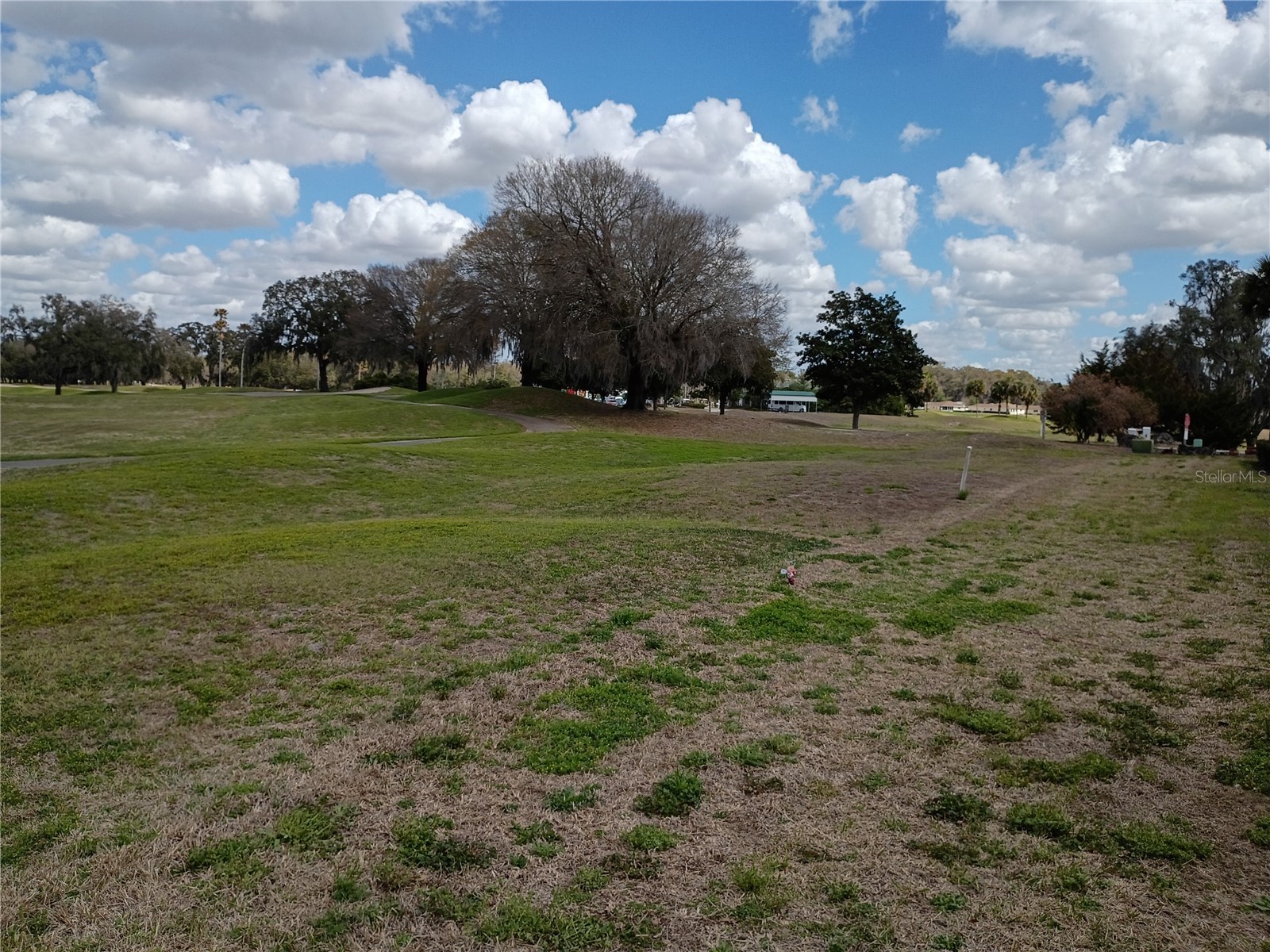 13646 SW 115th Avenue Dunnellon FL 34432 OM720238 image28