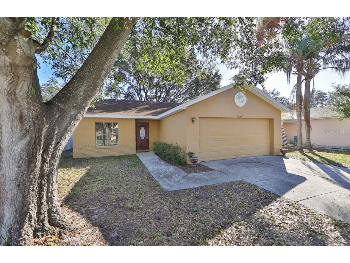 13647 Laraway Drive Riverview FL 33579 T3417708 image1