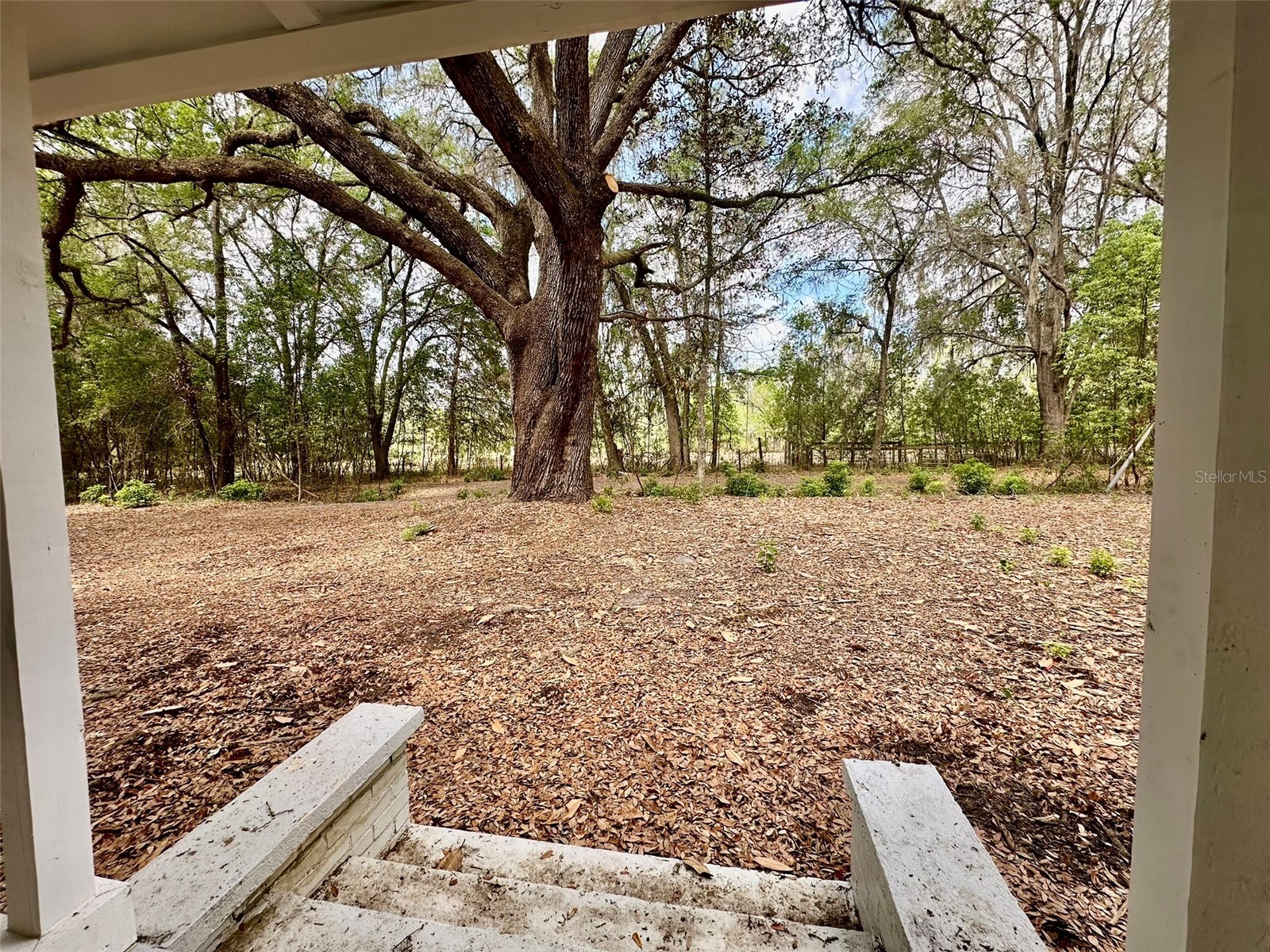 13647 NE 141st Drive Waldo FL 32694 GC540170 image2