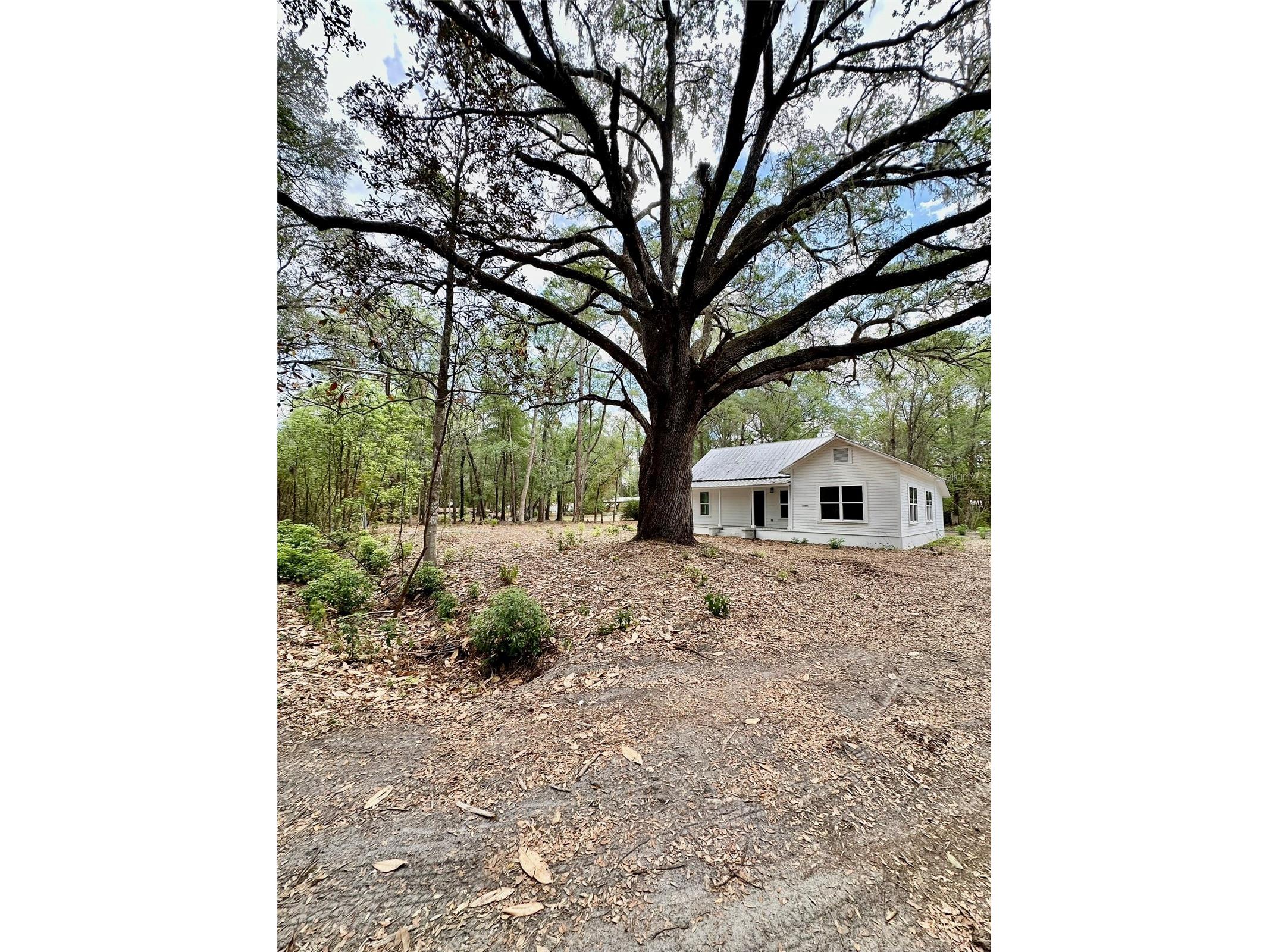 13647 NE 141st Drive Waldo FL 32694 GC540170 image4