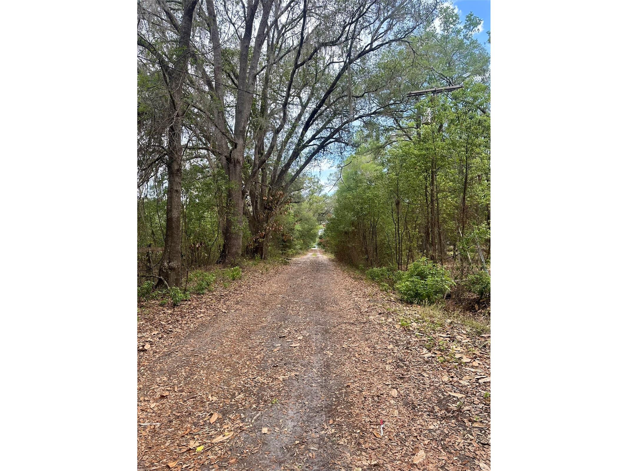 13647 NE 141st Drive Waldo FL 32694 GC540170 image5