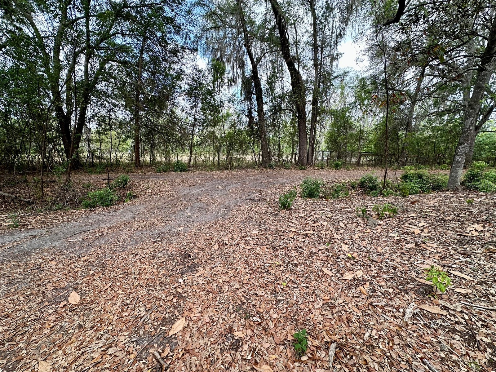 13647 NE 141st Drive Waldo FL 32694 GC540170 image6