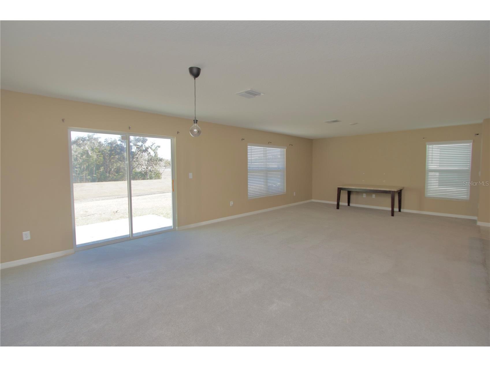 13648 Whiskey Daisy Drive Dade City FL 33525 W7882911 image13