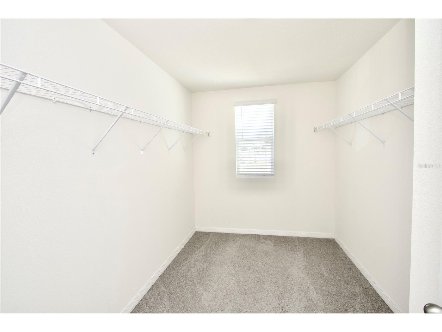 13648 Whiskey Daisy Drive Dade City FL 33525 W7882911 image17