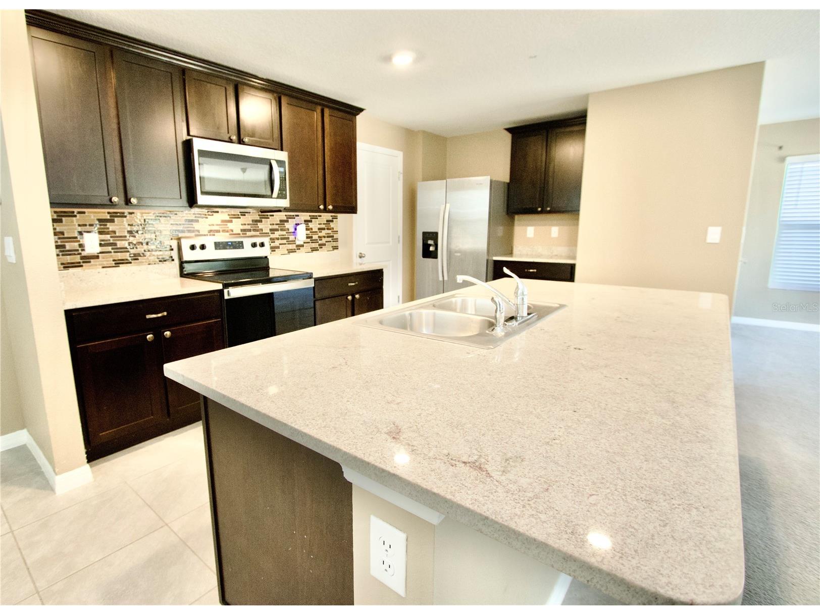 13648 Whiskey Daisy Drive Dade City FL 33525 W7882911 image8