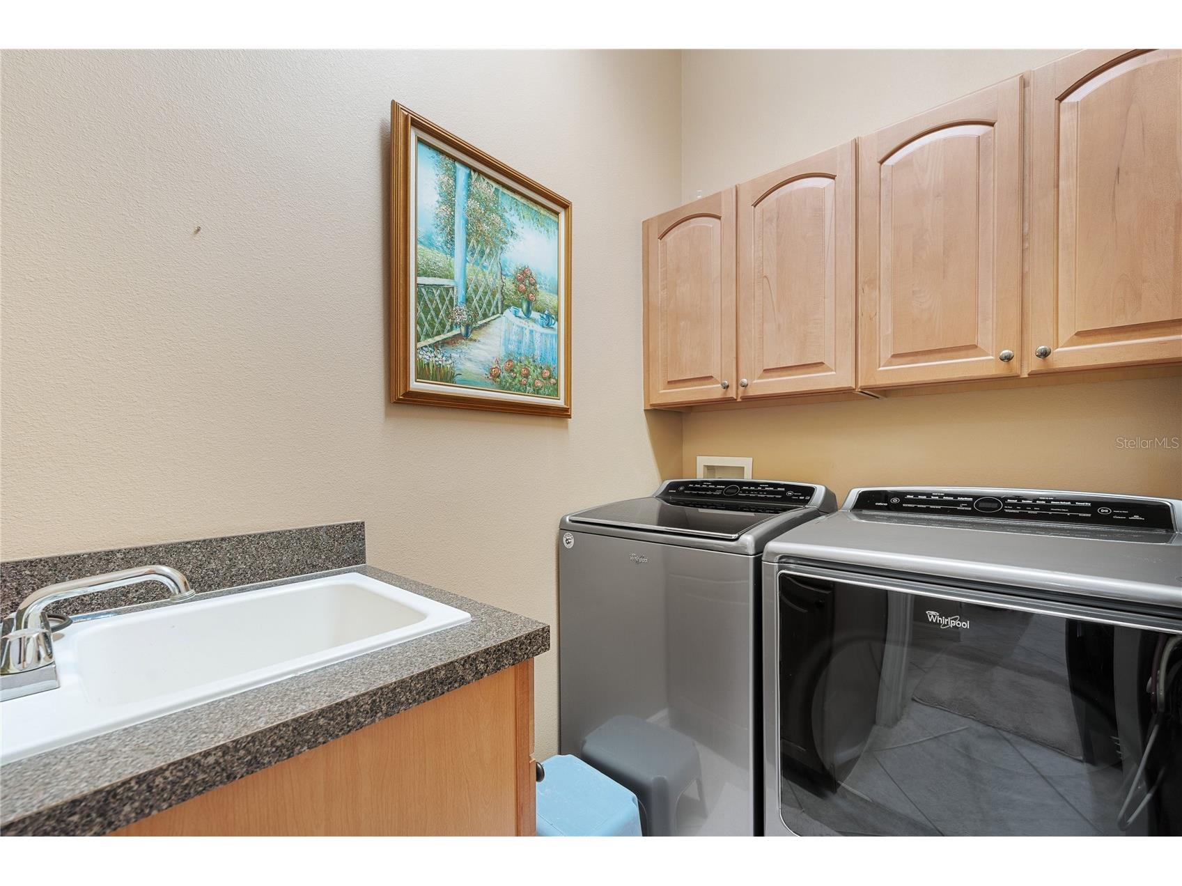 13649 Zori Lane Windermere FL 34786 O6369580 image29