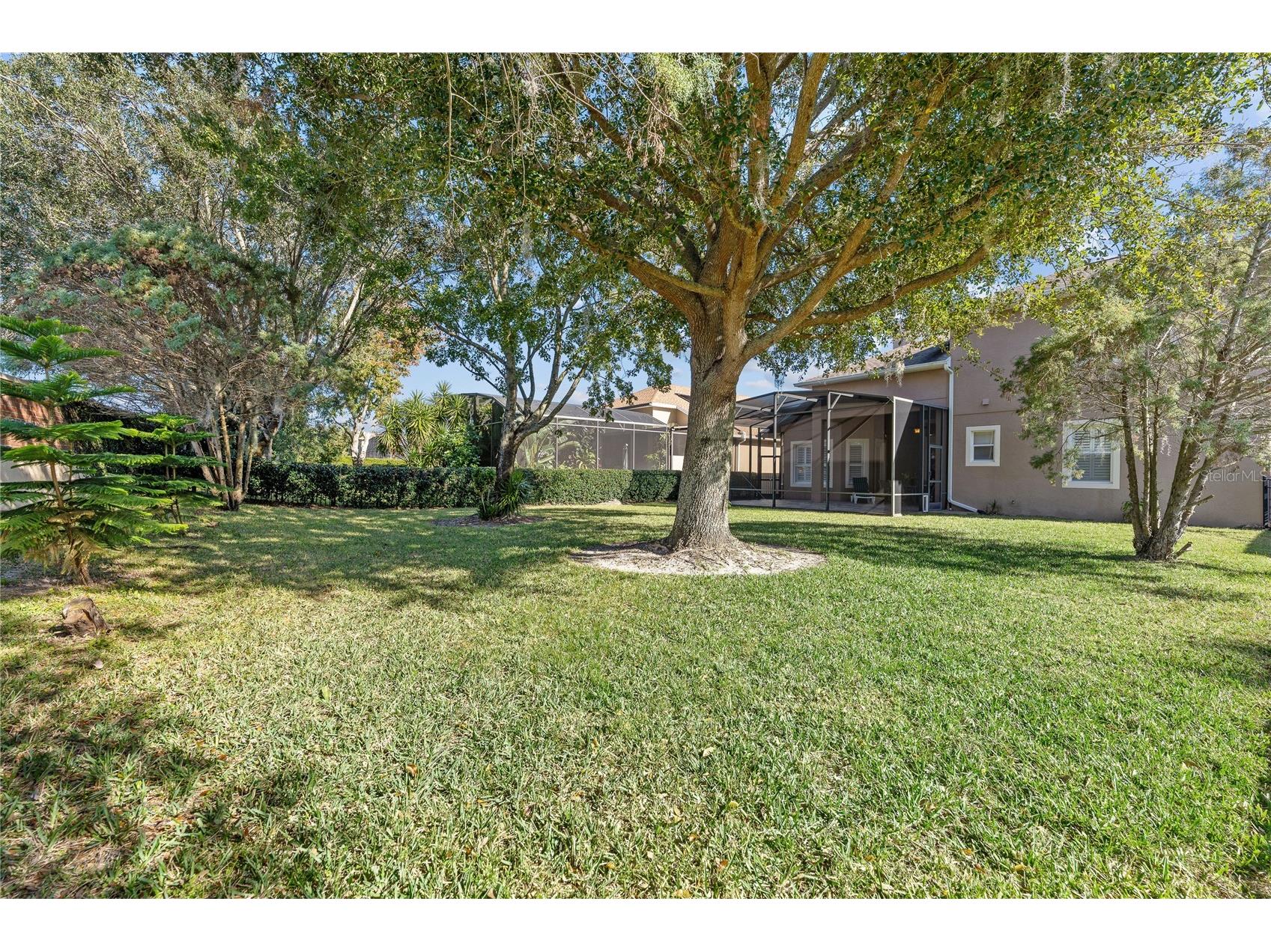 13649 Zori Lane Windermere FL 34786 O6369580 image46