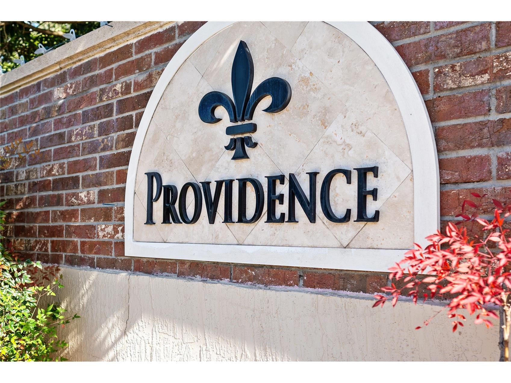 13649 Zori Lane Windermere FL 34786 O6369580 image57