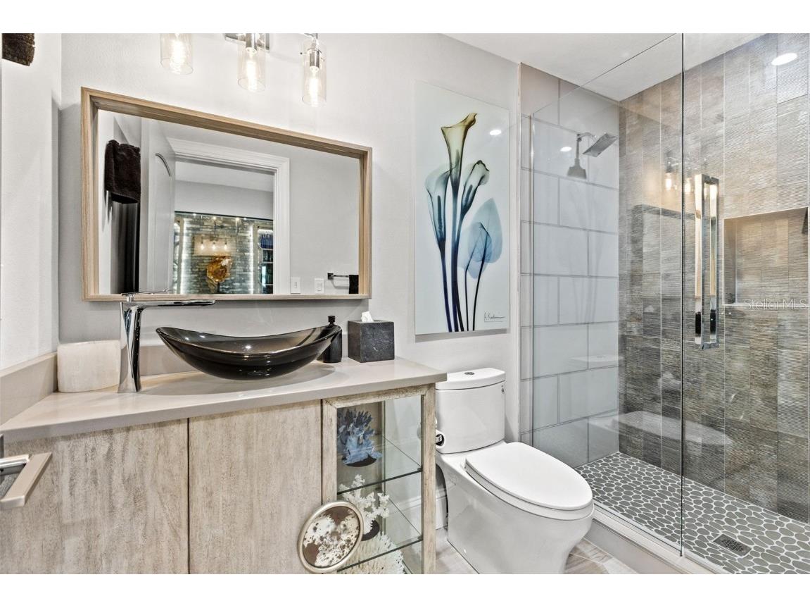 1365 Brightwaters Boulevard NE Saint Petersburg FL 33704 TB8412312 image59