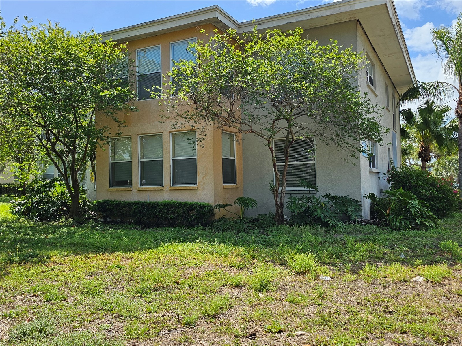 1365 Drew Street #102 Clearwater FL 33755 TB8494134 image1