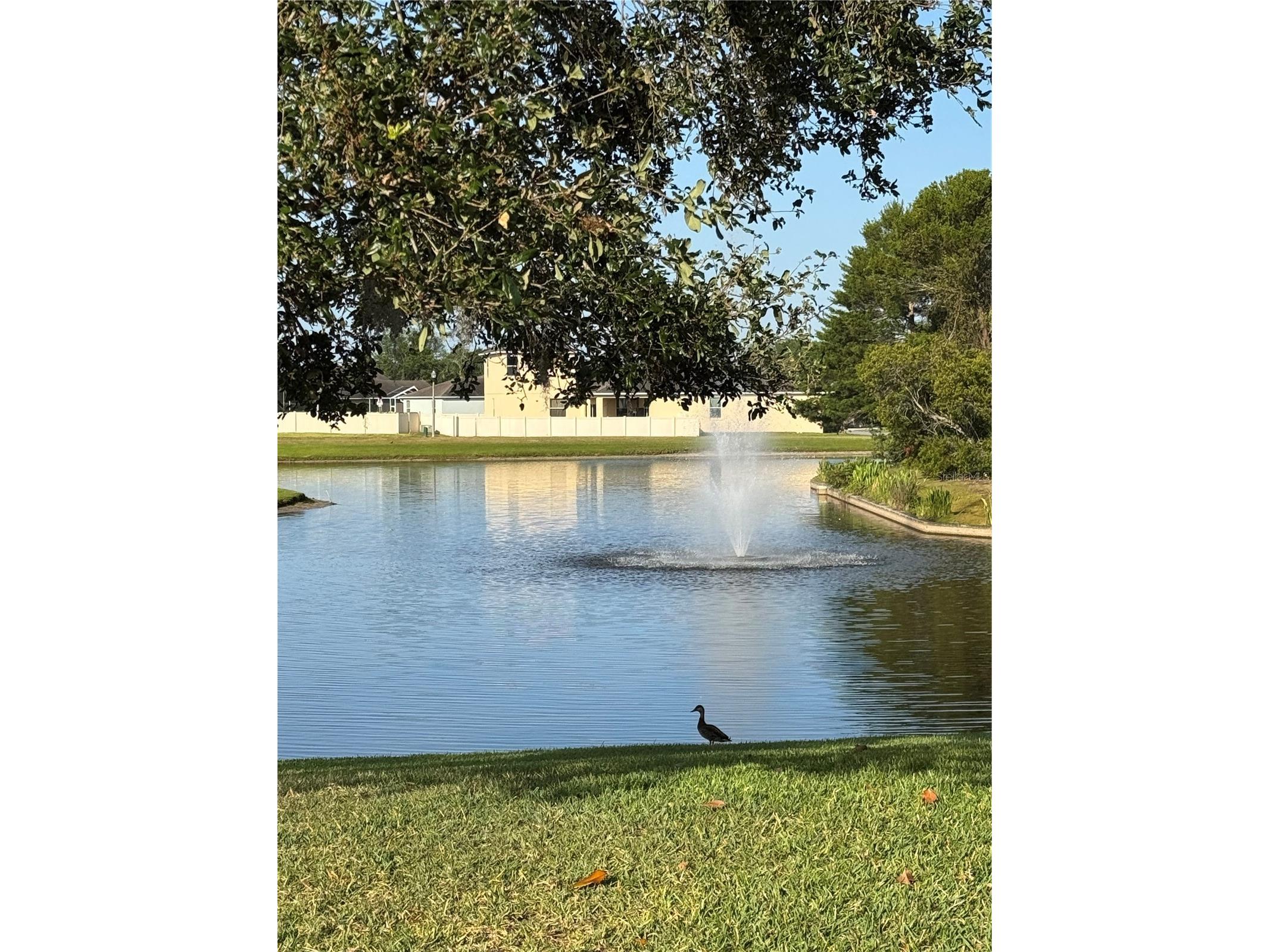 1365 Evergreen Park Cir Lakeland FL 33813 L4960772 image76