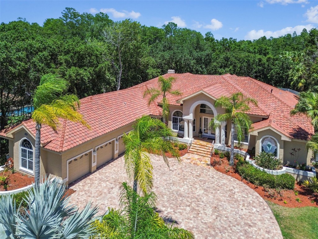 1365 Forestedge Boulevard Oldsmar FL 34677 T3522574 image1