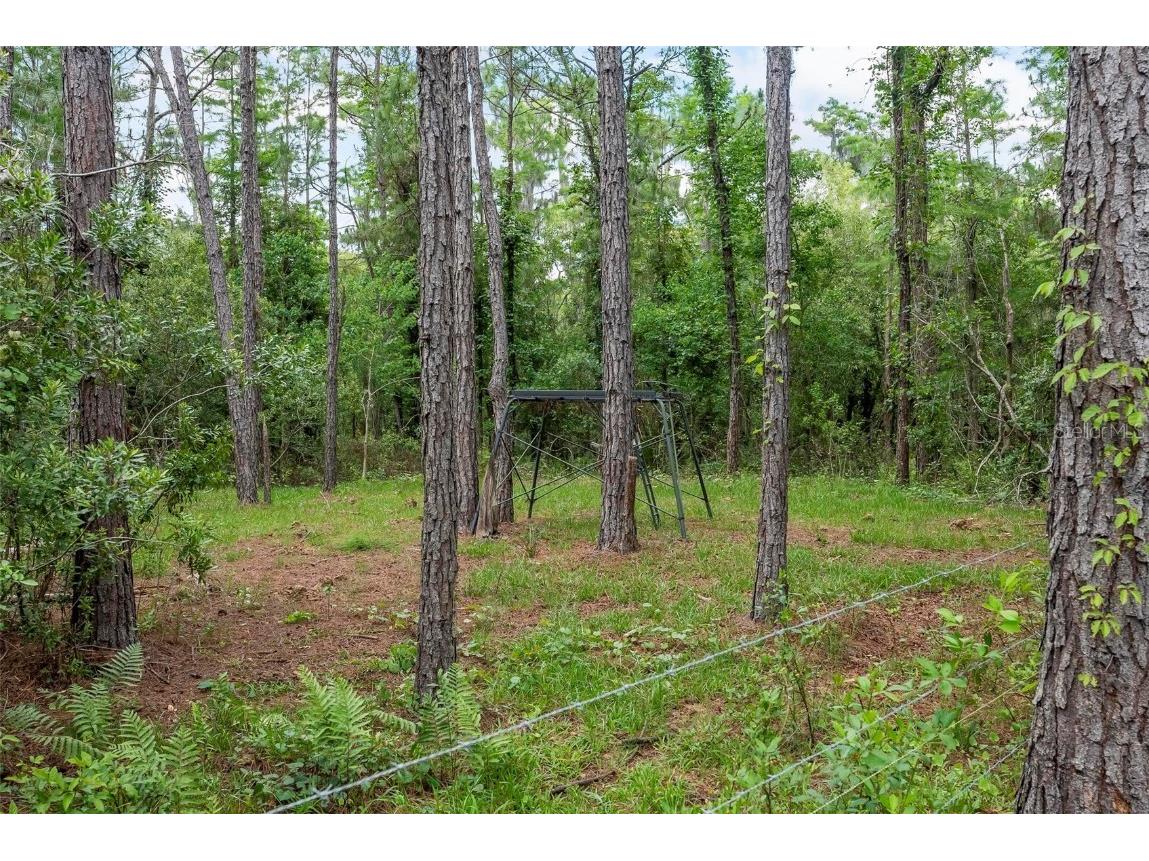 1365 Shedd Lane Ormond Beach FL 32174 FC309833 image14