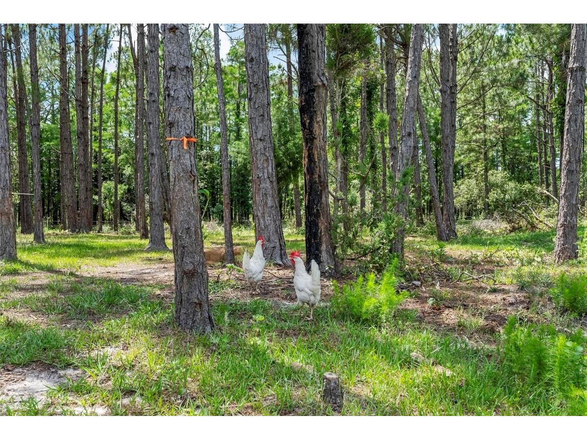 1365 Shedd Lane Ormond Beach FL 32174 FC309833 image8