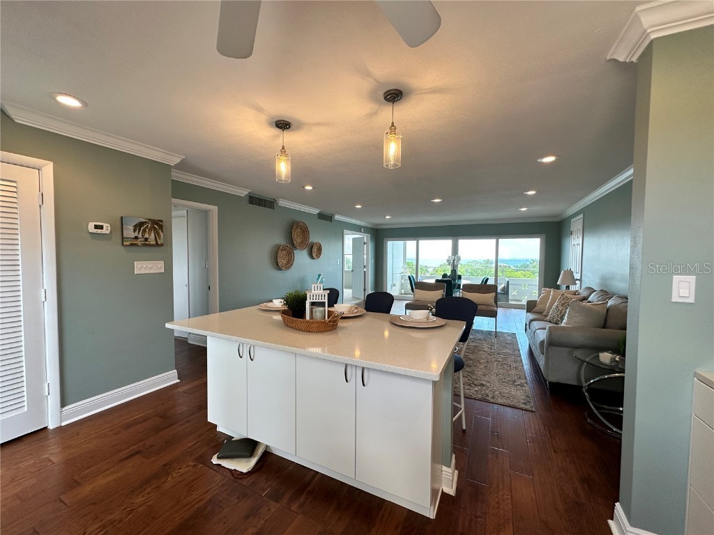 1365 Snell Isle Boulevard NE #6E Saint Petersburg FL 33704 - TAMPA BAY TB8401894 image8