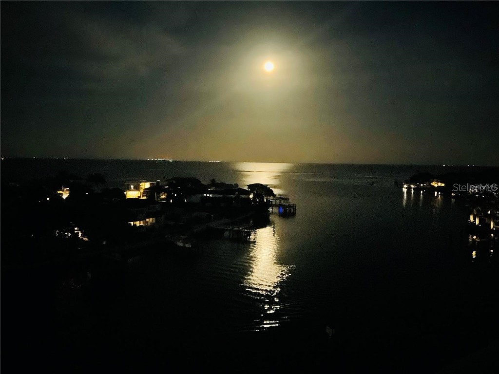 1365 Snell Isle Boulevard NE #8D Saint Petersburg FL 33704 TB8415345 image48