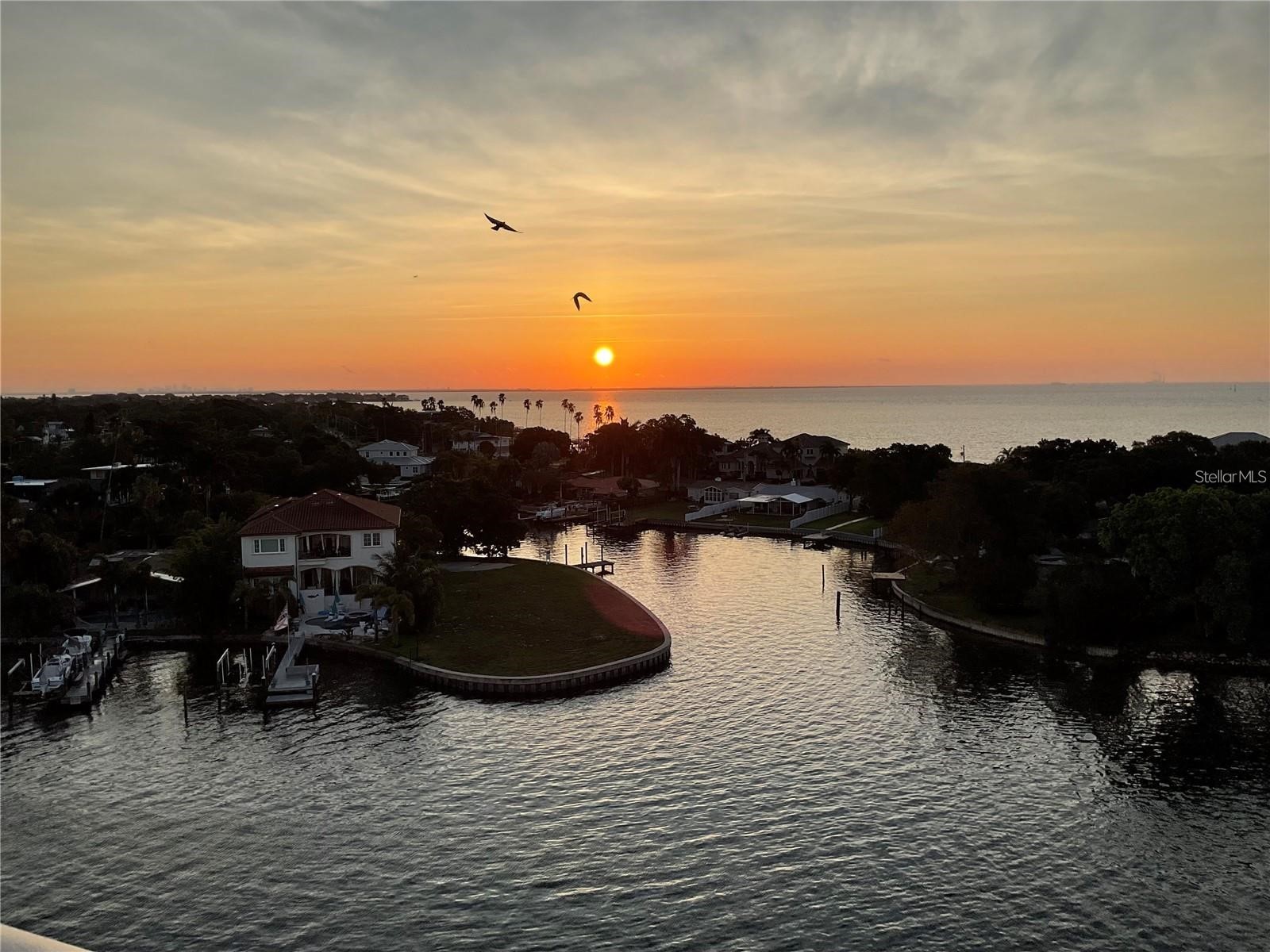 1365 Snell Isle Boulevard NE #8D Saint Petersburg FL 33704 TB8501400 image52