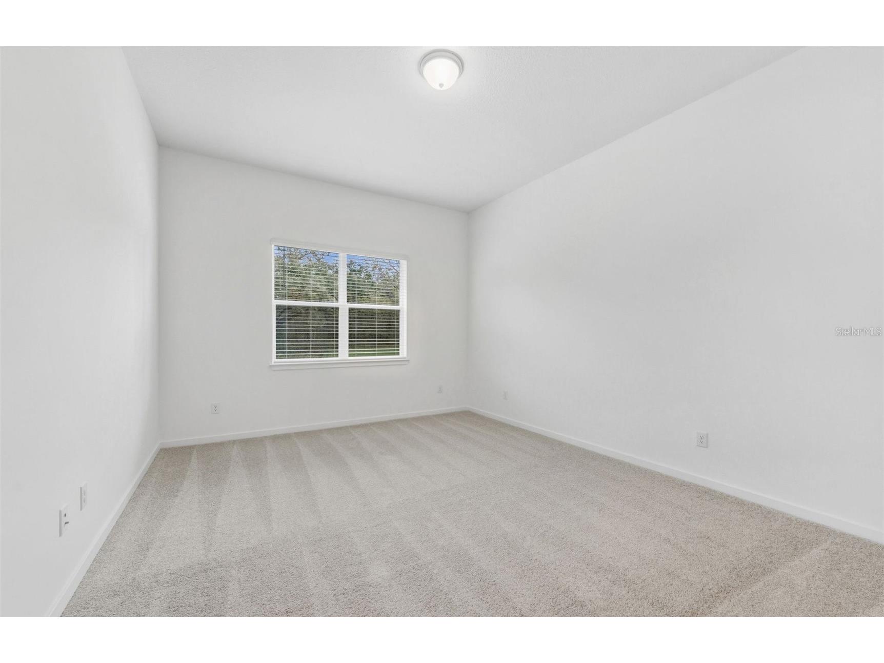 13652 Canyon Ridge Road Spring Hill FL 34610 TB8435949 image10