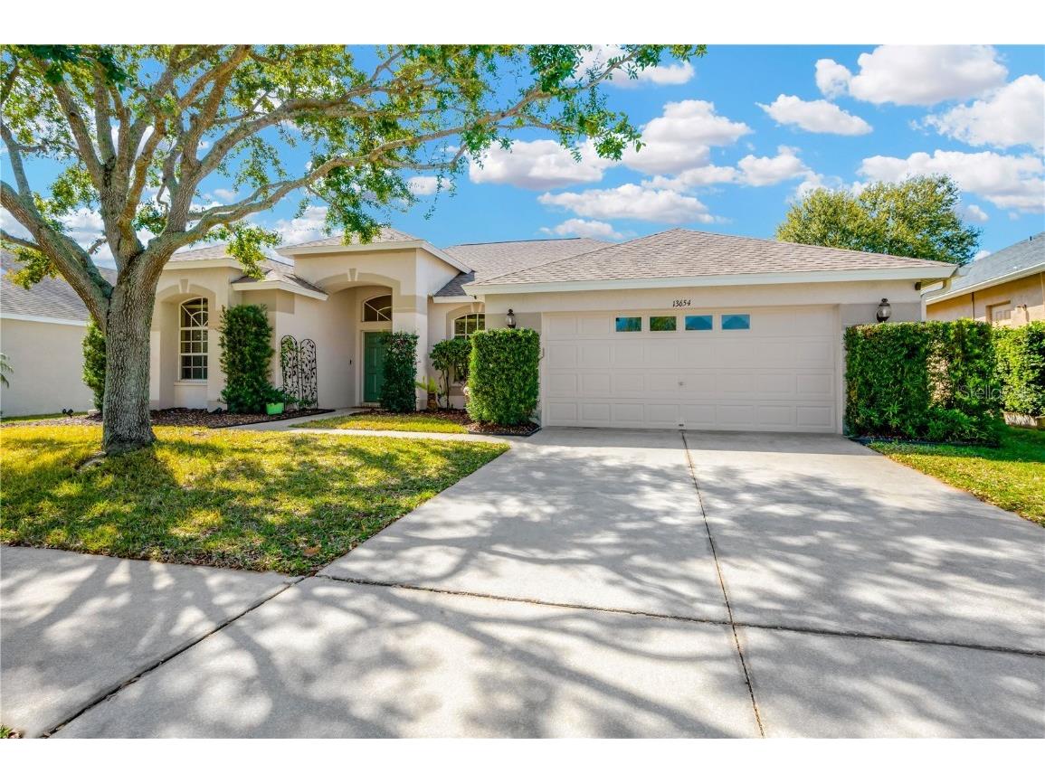 13654 Artesa Bell Drive Riverview FL 33579 T3505801 image1