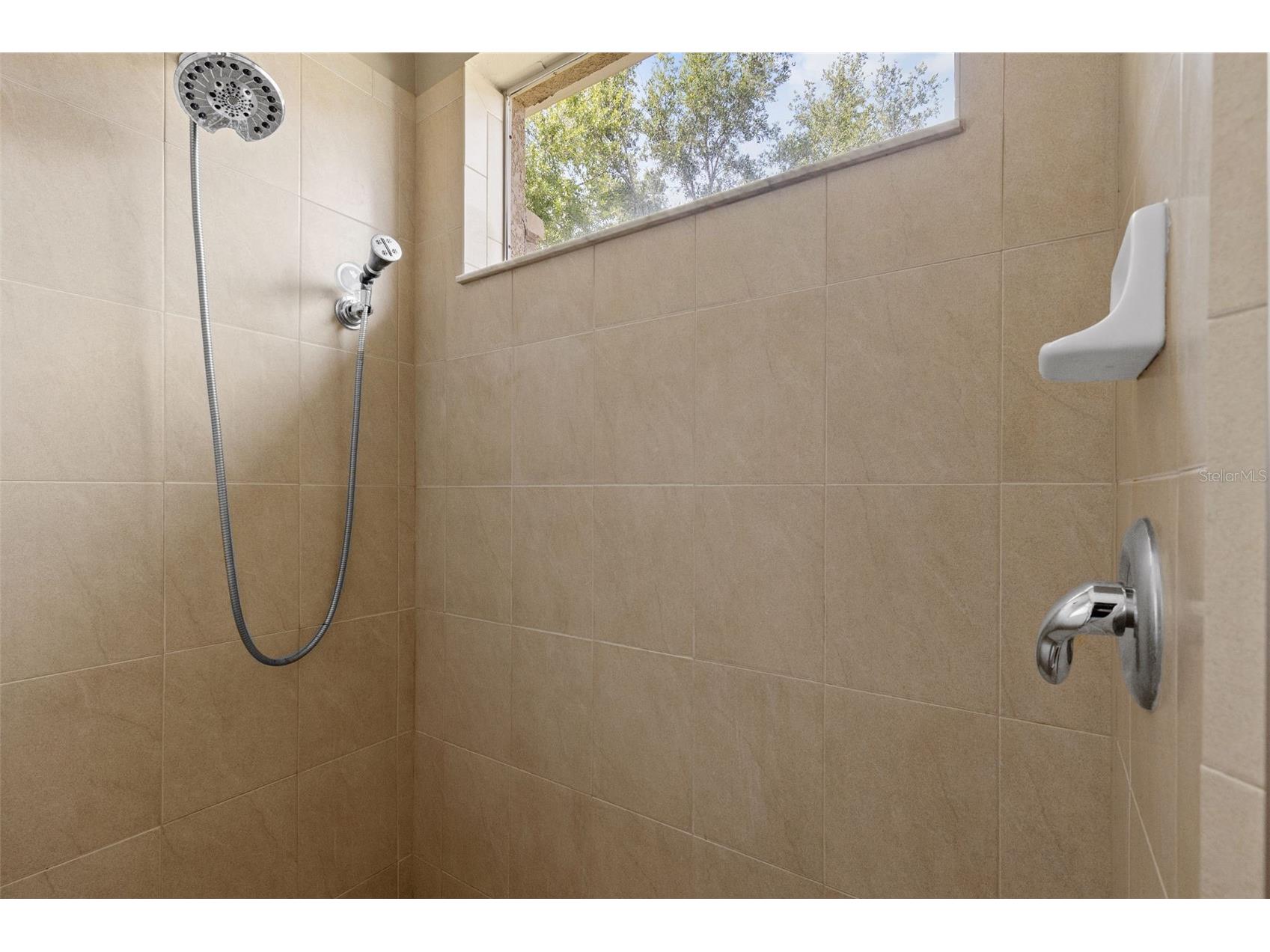 13655 Artesa Bell Drive Riverview FL 33579 TB8503356 image44