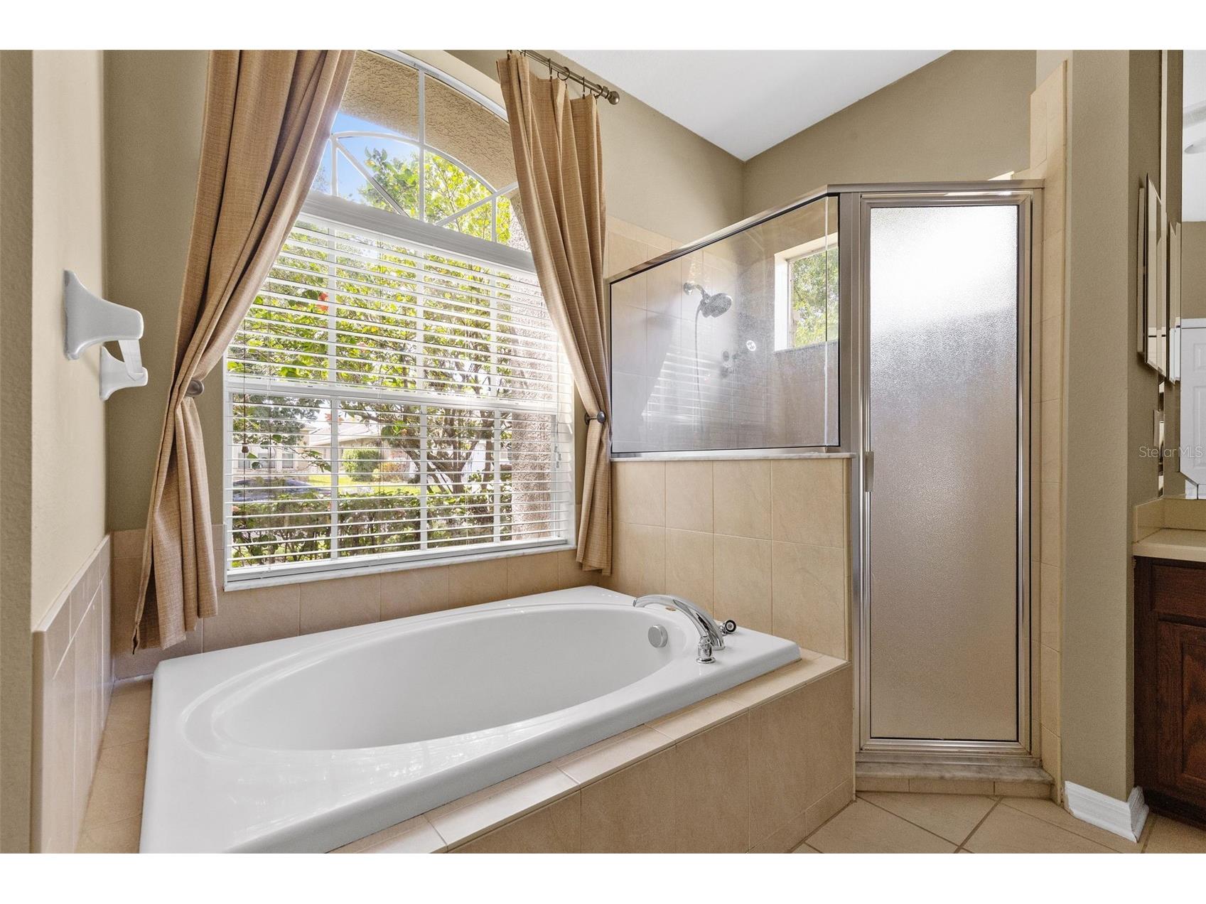 13655 Artesa Bell Drive Riverview FL 33579 TB8503356 image45