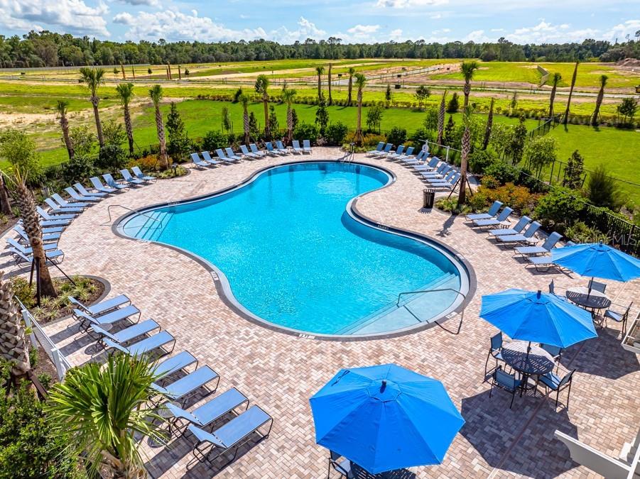 13655 Tropical Breeze Way Hudson FL 34669 TB8412297 image13