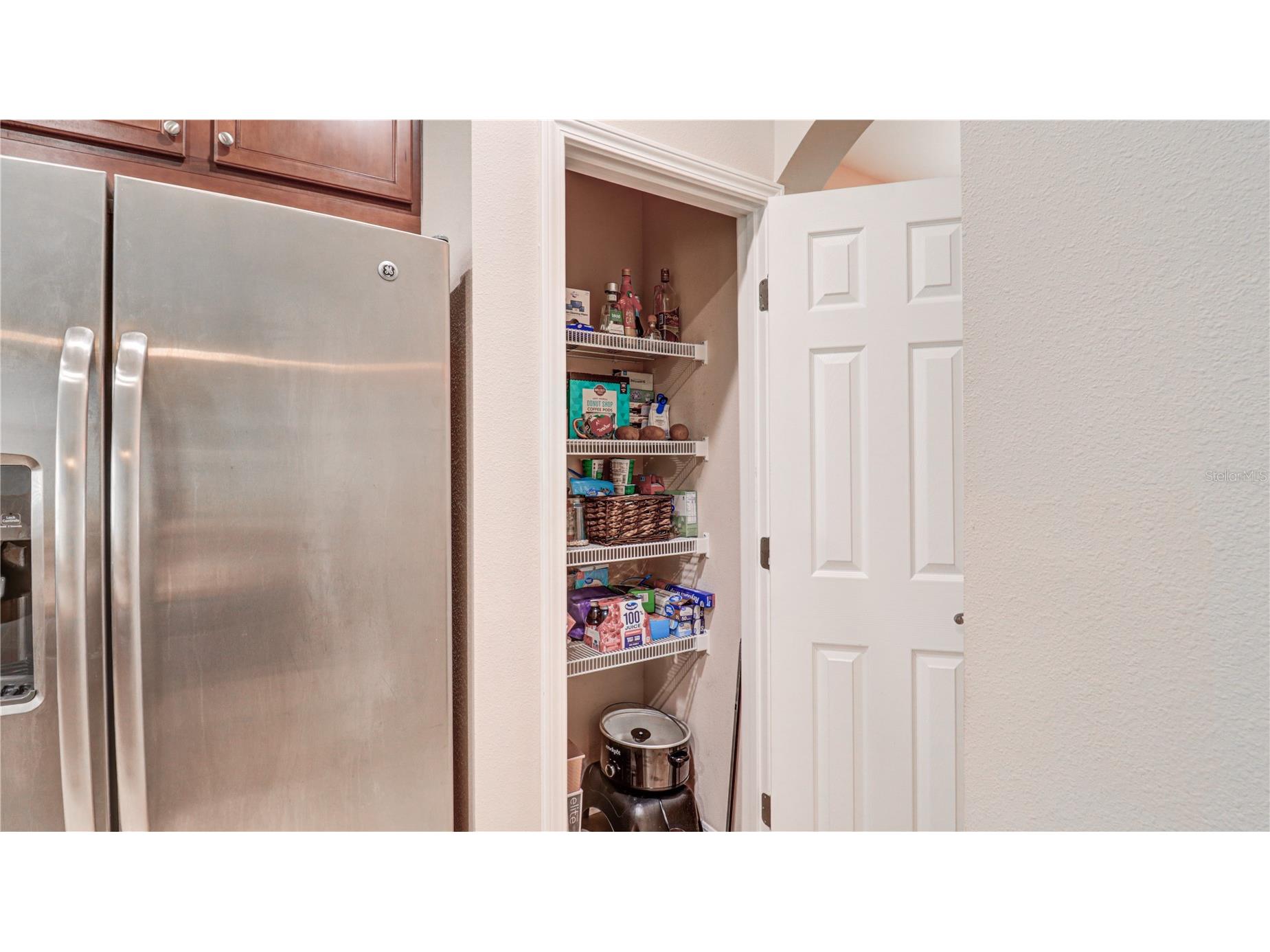 13659 Artesa Bell Drive Riverview FL 33579 TB8518618 image35