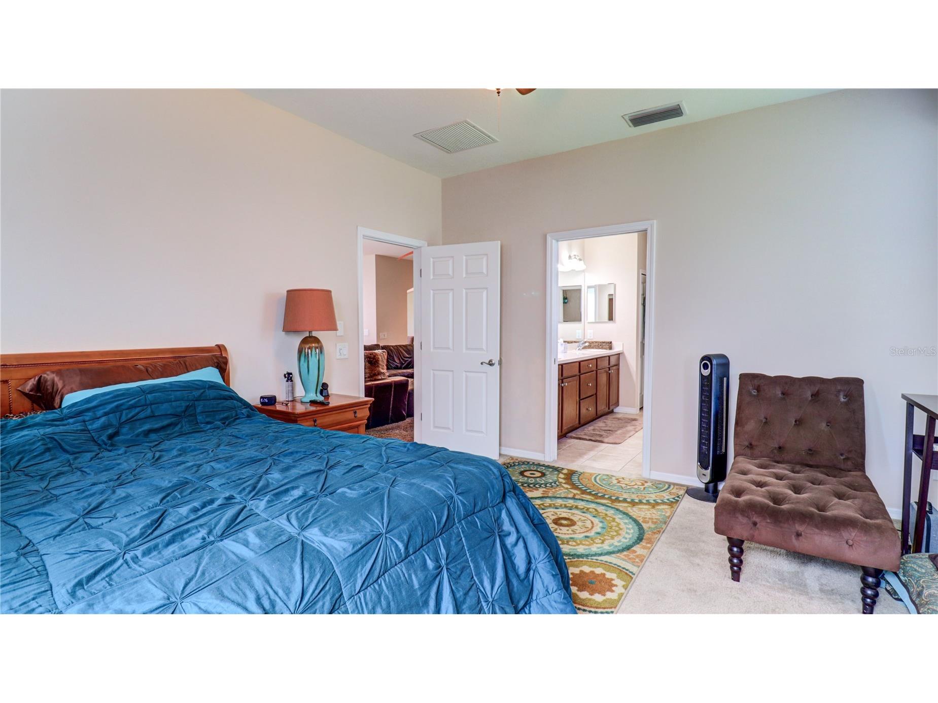 13659 Artesa Bell Drive Riverview FL 33579 TB8518618 image39