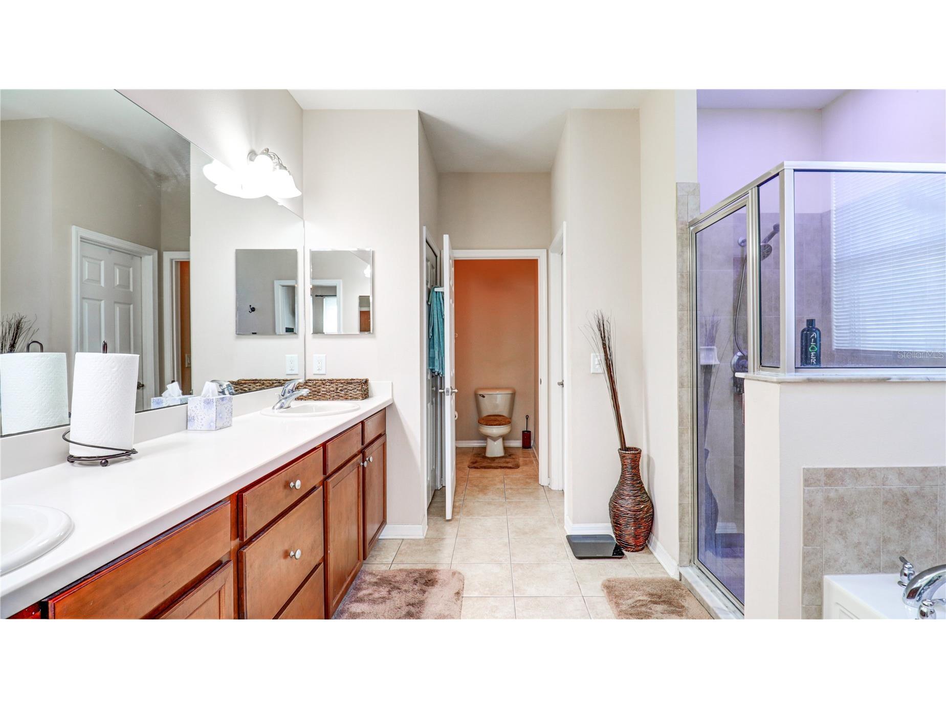 13659 Artesa Bell Drive Riverview FL 33579 TB8518618 image41