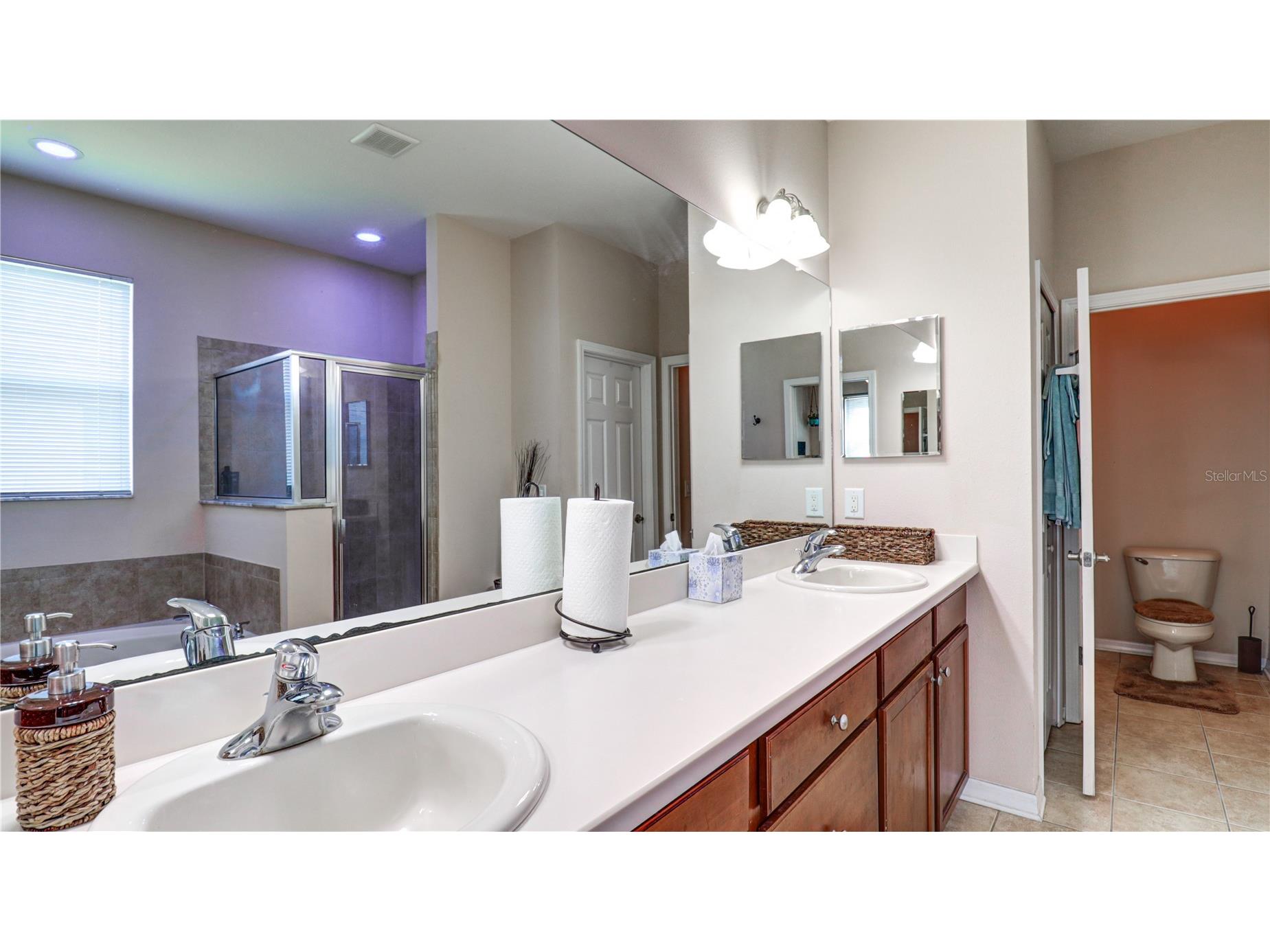 13659 Artesa Bell Drive Riverview FL 33579 TB8518618 image42