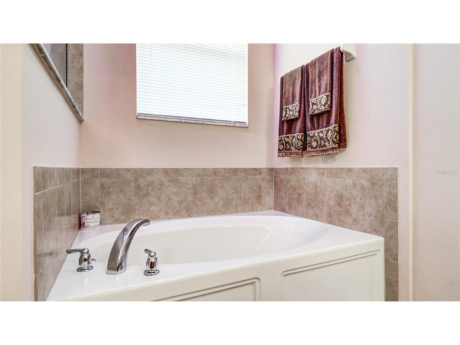 13659 Artesa Bell Drive Riverview FL 33579 TB8518618 image43