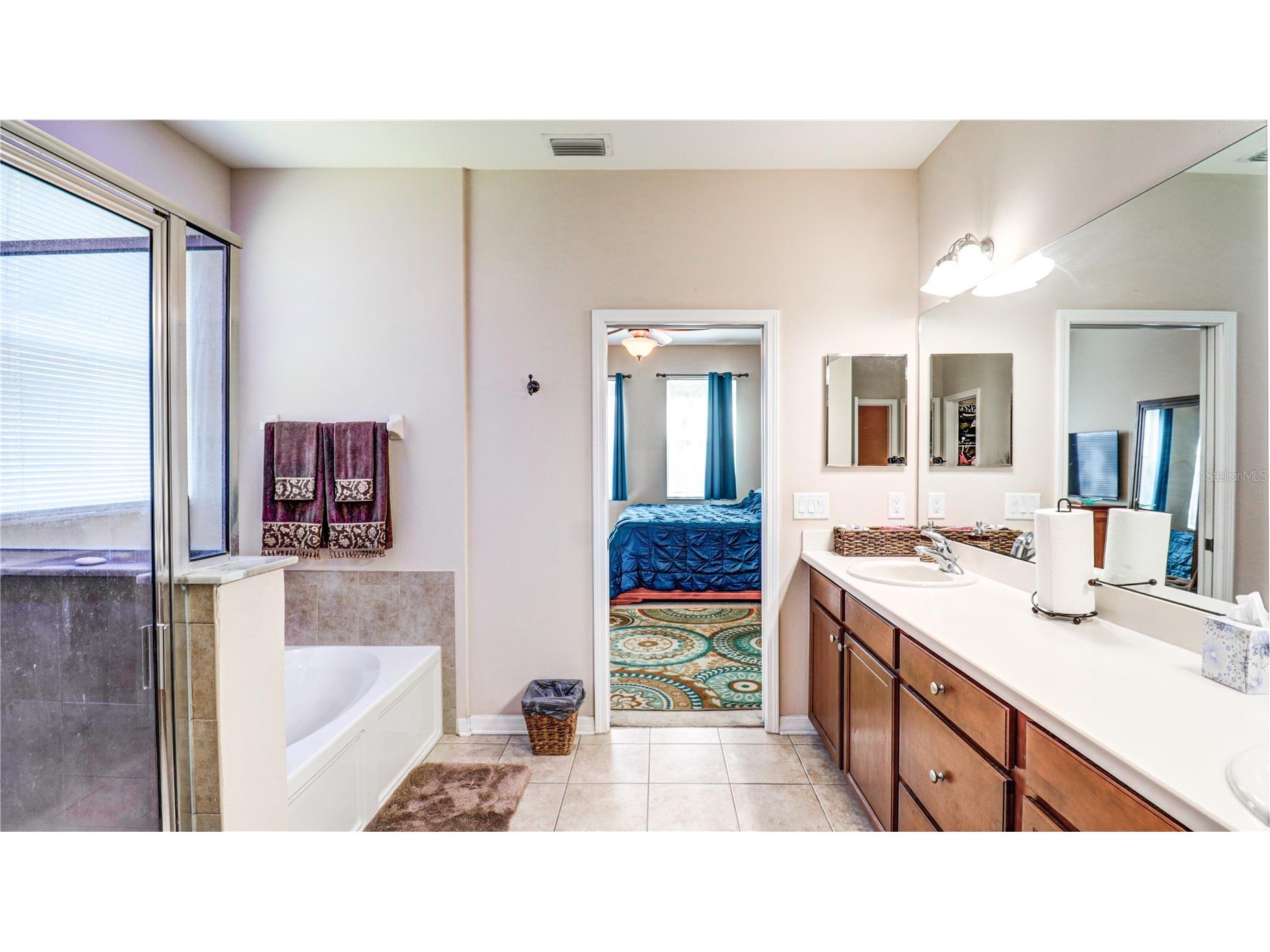 13659 Artesa Bell Drive Riverview FL 33579 TB8518618 image45