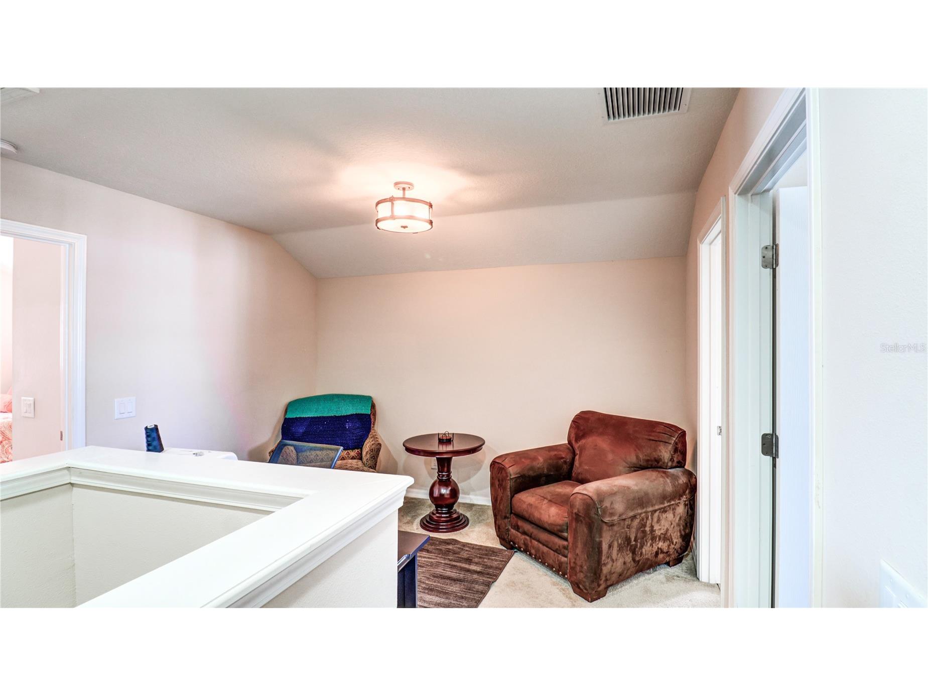 13659 Artesa Bell Drive Riverview FL 33579 TB8518618 image46