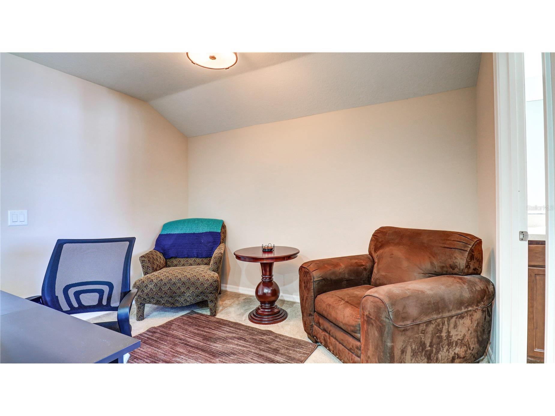 13659 Artesa Bell Drive Riverview FL 33579 TB8518618 image47