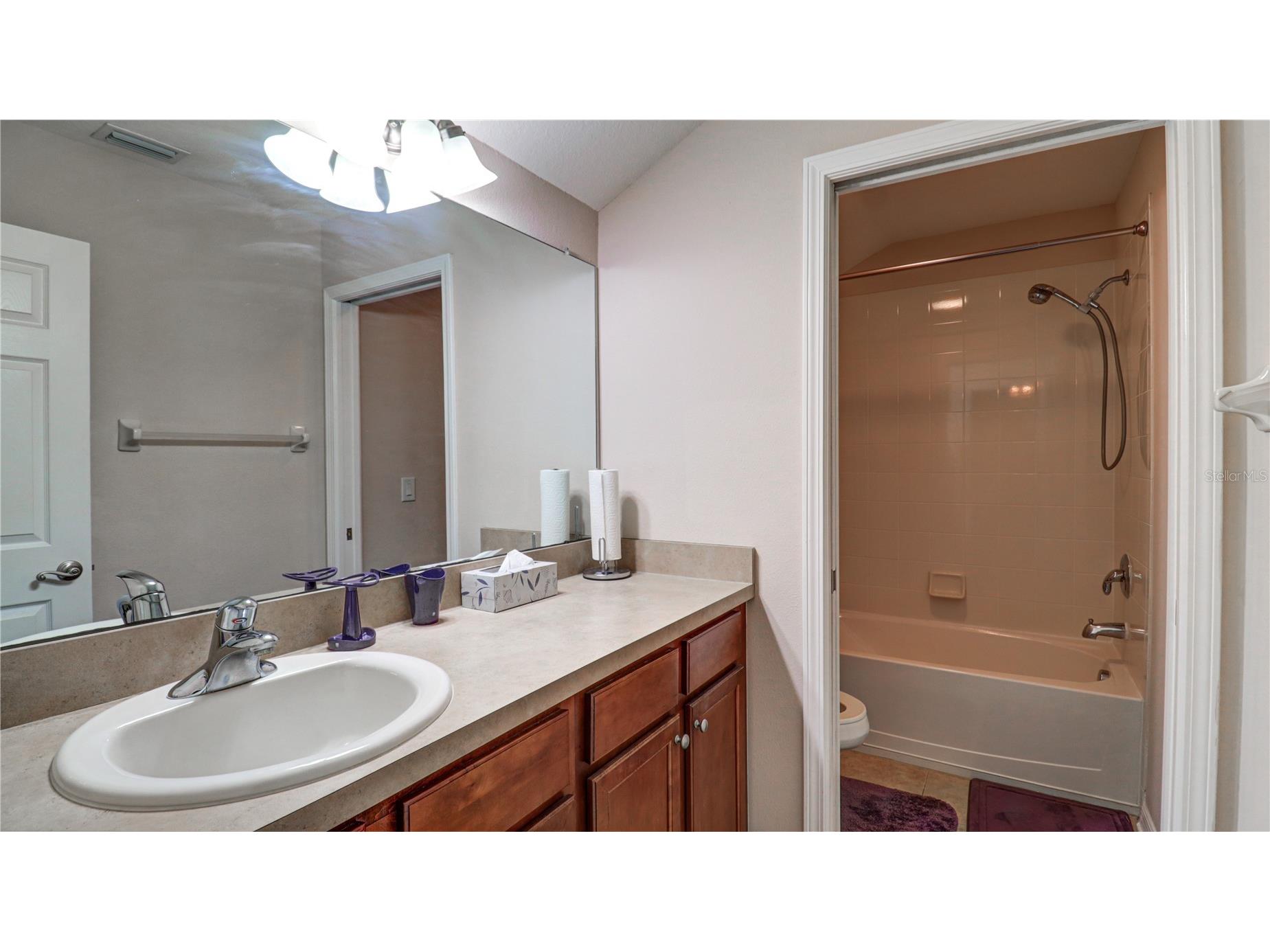 13659 Artesa Bell Drive Riverview FL 33579 TB8518618 image55