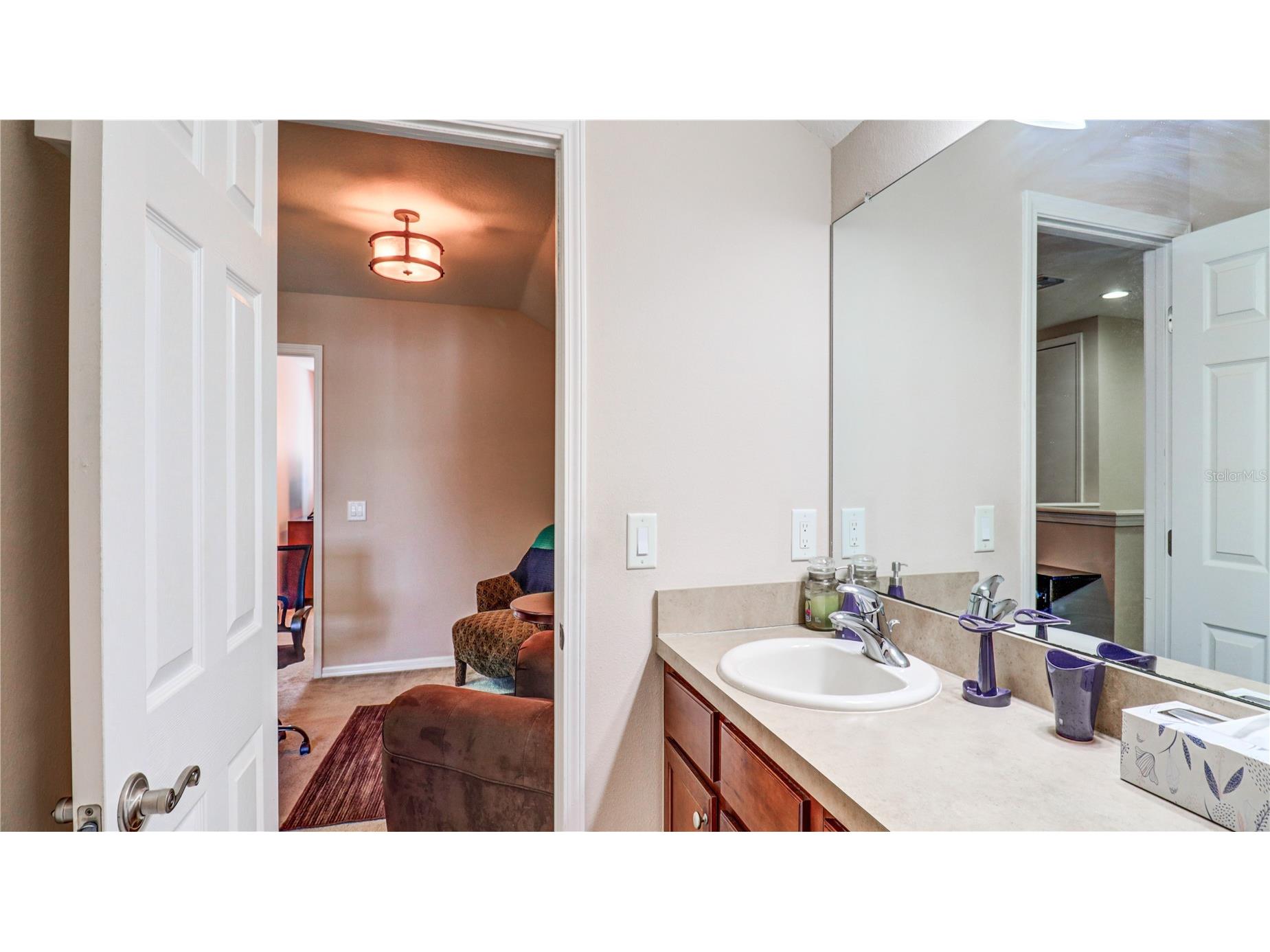 13659 Artesa Bell Drive Riverview FL 33579 TB8518618 image56