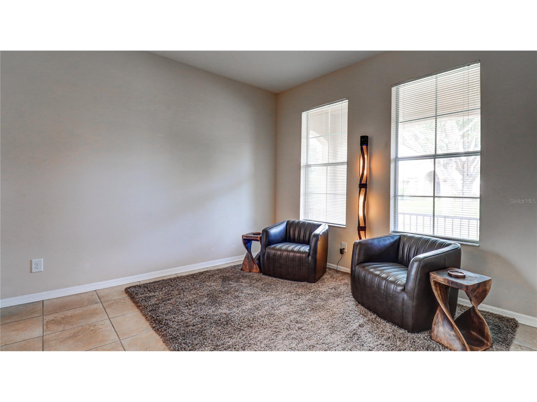 13659 Artesa Bell Drive Riverview FL 33579 TB8518618 image9