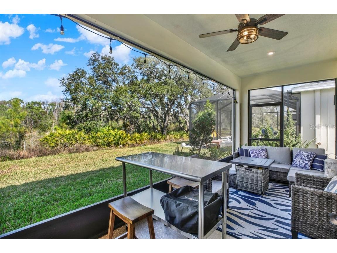 13659 Stansil Avenue Odessa FL 33556 TB8453303 image34